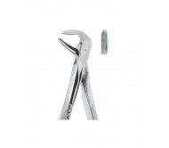 Extracting Forceps